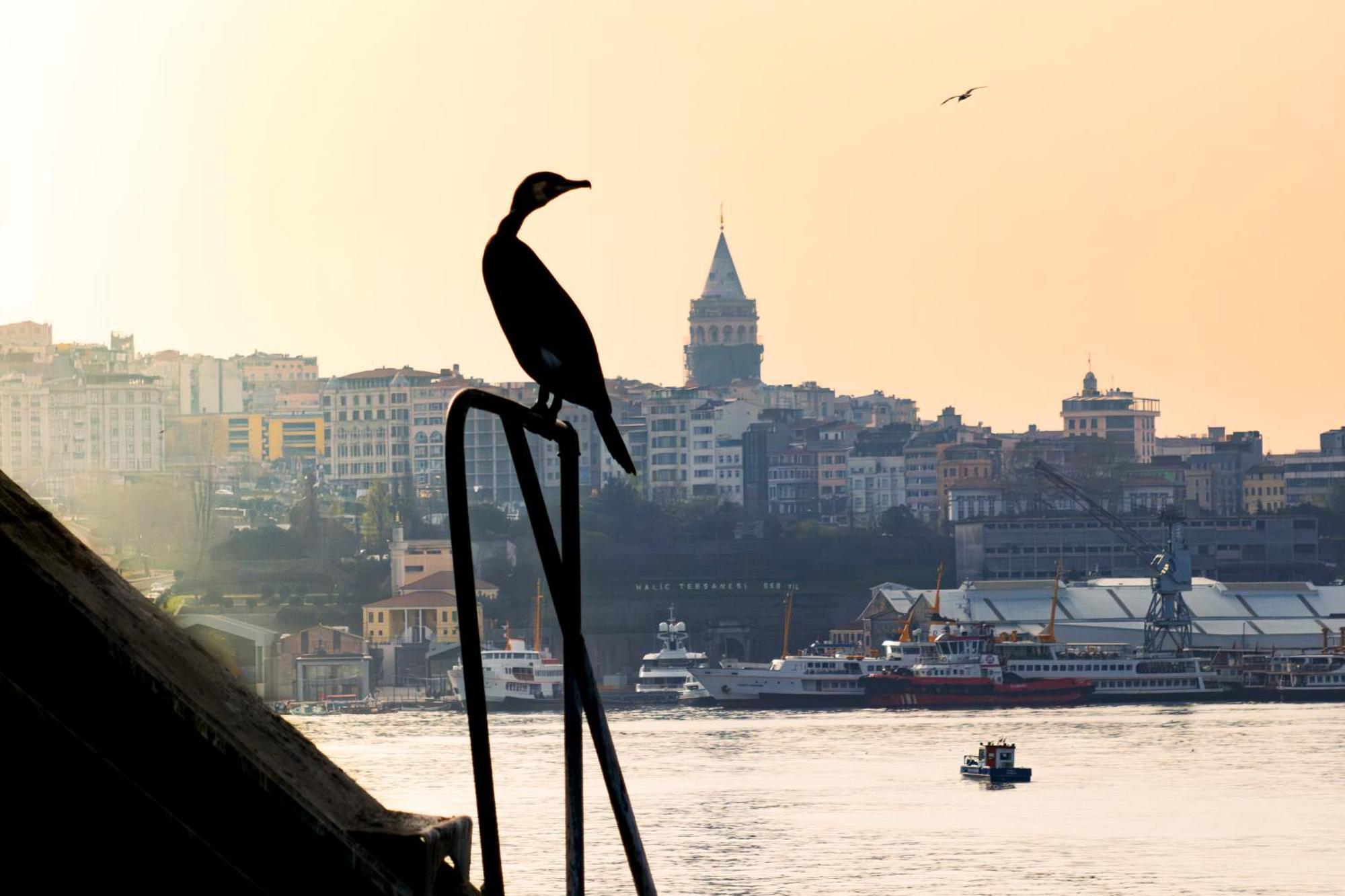 Rixos Tersane Istanbul Hotel ภายนอก รูปภาพ
